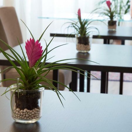 ורונה Parco Dell'Adige Rooms מראה חיצוני תמונה